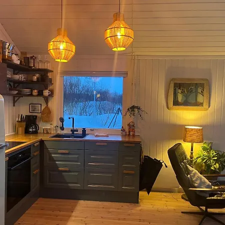 Remote Seaside In Lofoten *